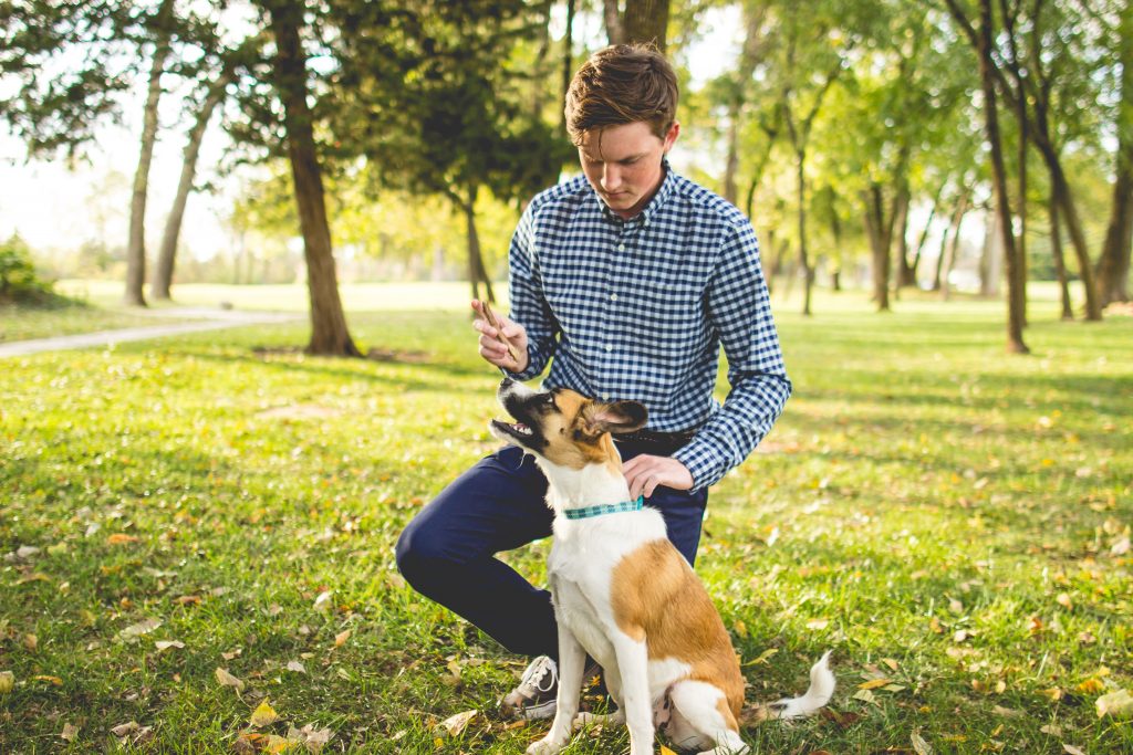 14 saker ingen berättar för dig om att vara hundägare