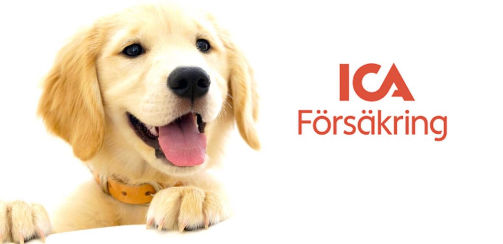 https://www.icaforsakring.se/djurforsakring/hundforsakring/